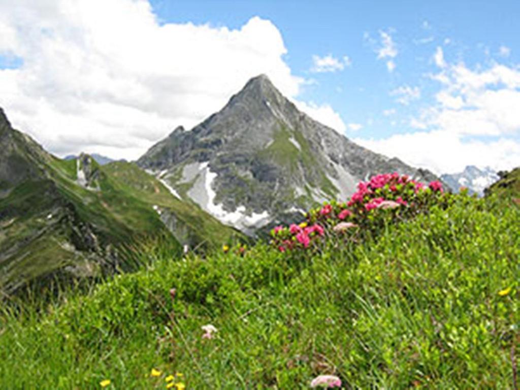Gaestehaus Alpengruss Mayrhofen Eksteriør bilde